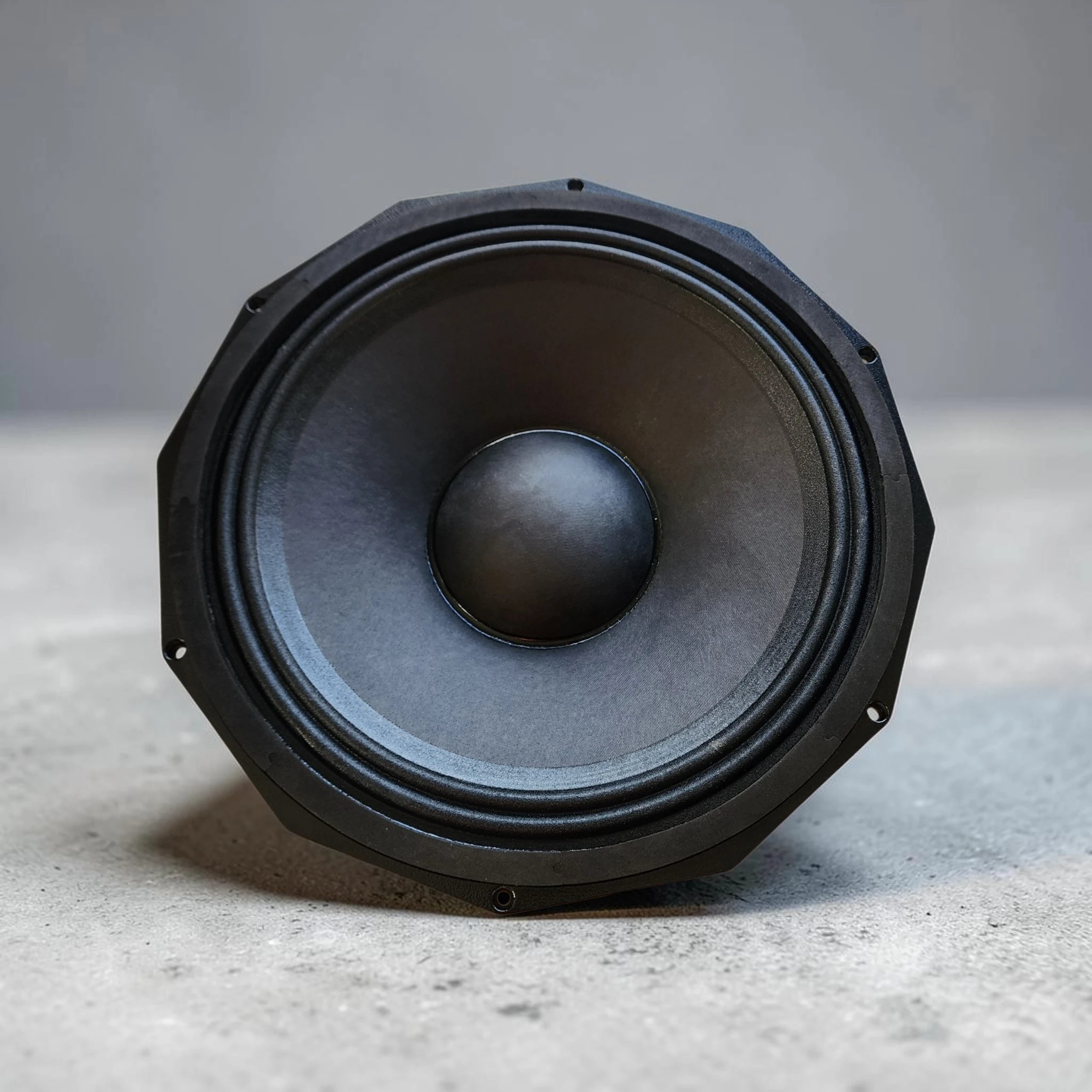DVN PD heavy-duty 18 inches speaker