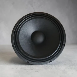 Dvn 1201 line array 12 inches speaker