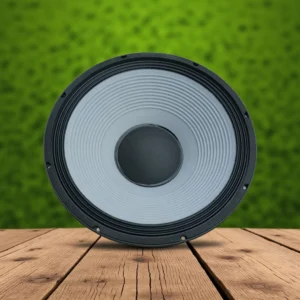 JBL 15 inches 100mm coil speaker